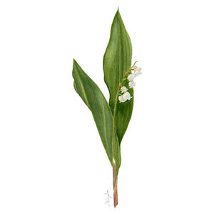 Meet your Posher, Xinning